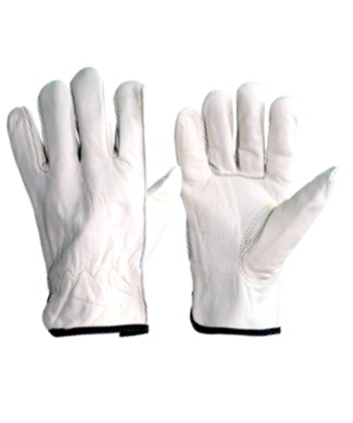 17__argon_glove_sz-10